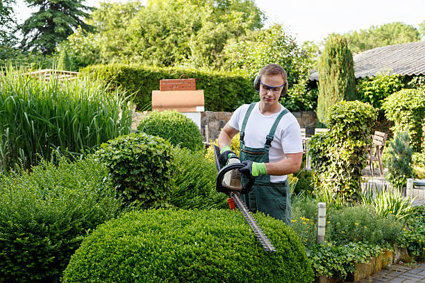 Whitehall, MI Tree Services Company